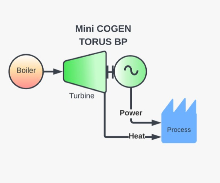 Cogen Process Mini COGEN | Turtle Turbines