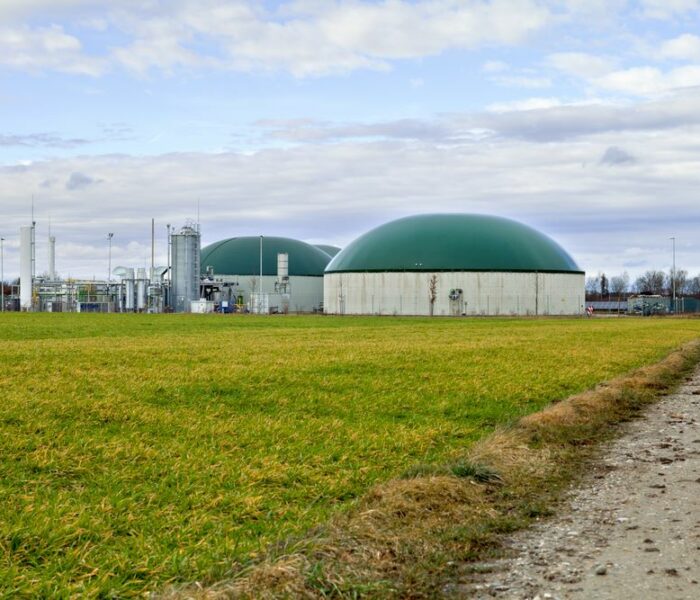 Turtle Turbines